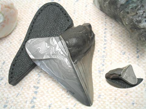 Megalodon-Shark Tooth Knife